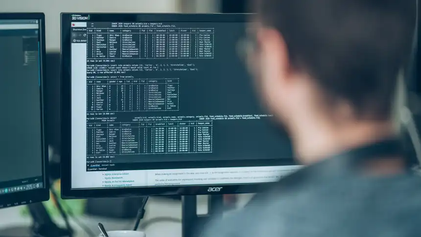 Ein Computerbildschirm, davor sitzt eine Person